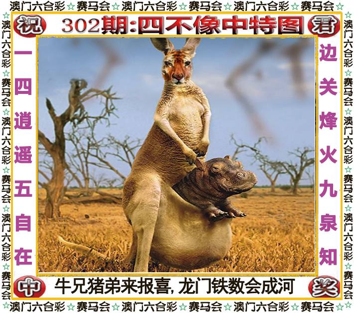 澳门新运彩